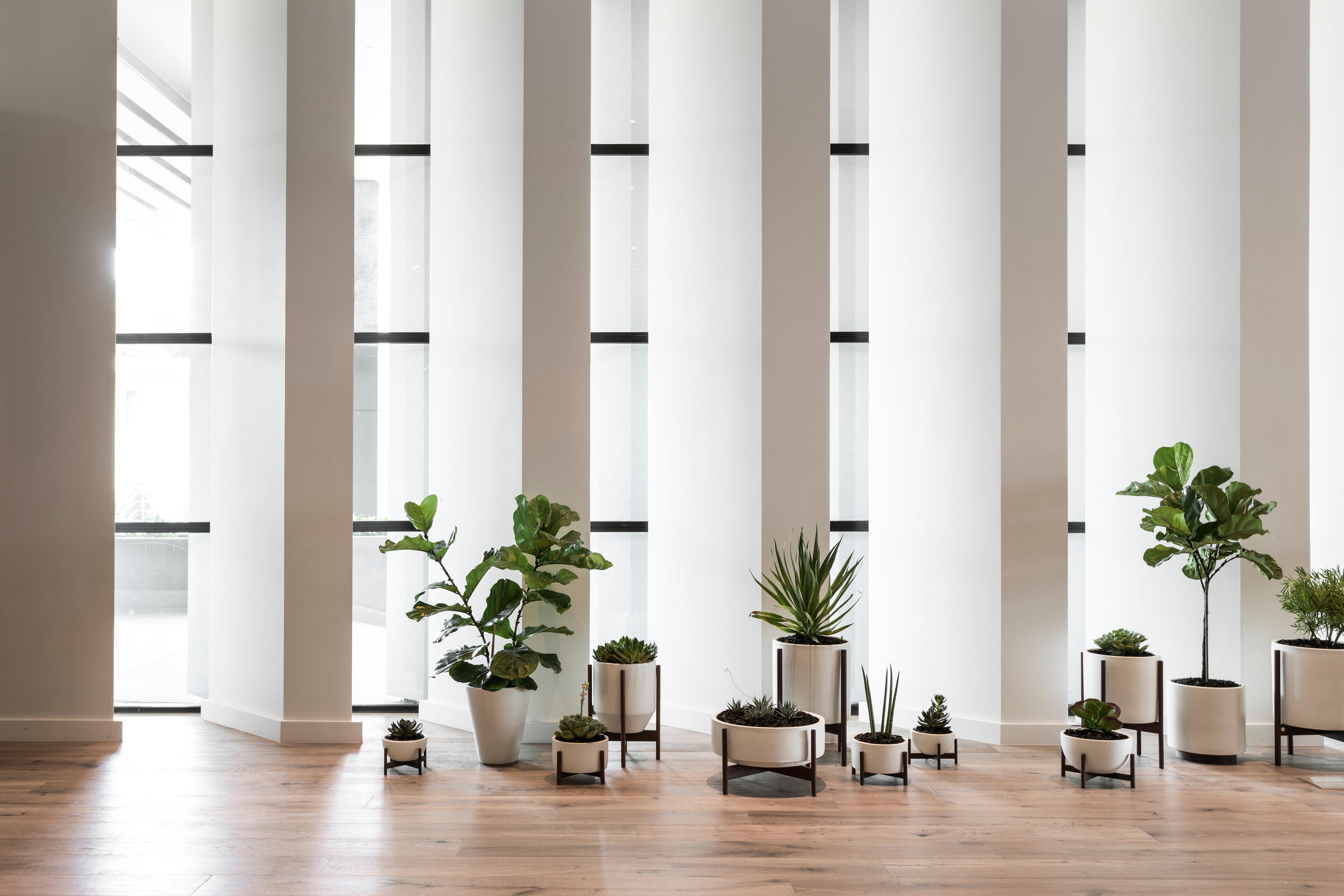 Kimpton Everly Hotel Hollywood By Ihg Los Angeles Exterior foto
